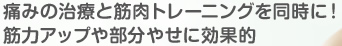 痛みの治療と筋肉トレーニングを同時に！筋力アップや部分やせに効果的